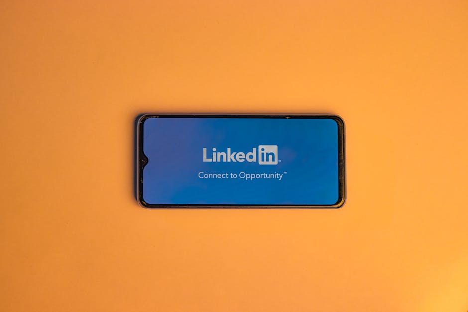 LinkedIn profilini inceleyen kişi