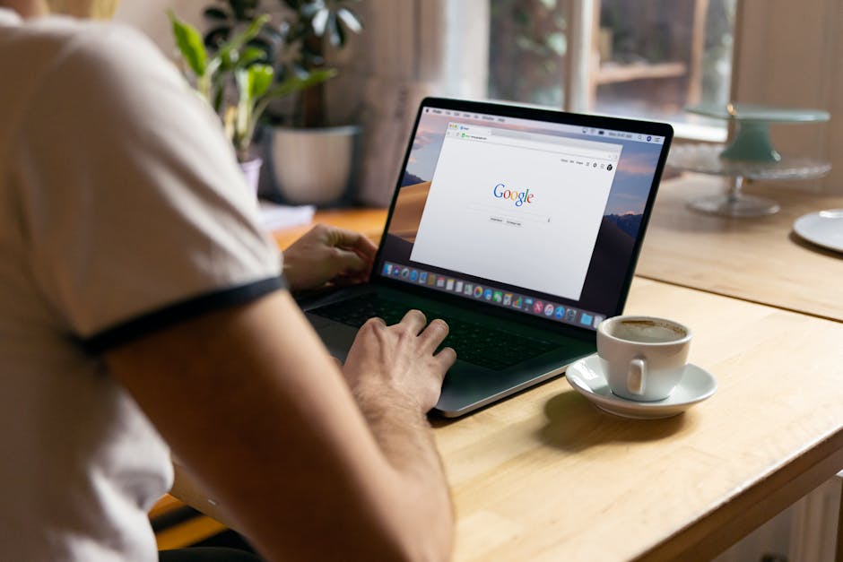 Arama sonuçları ve içerik optimizasyonu