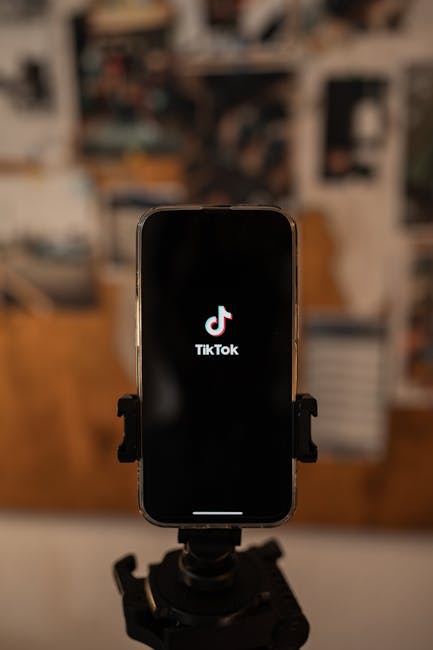 TikTok’ta bio linki örneği